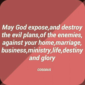 Meet your Posher, Connie